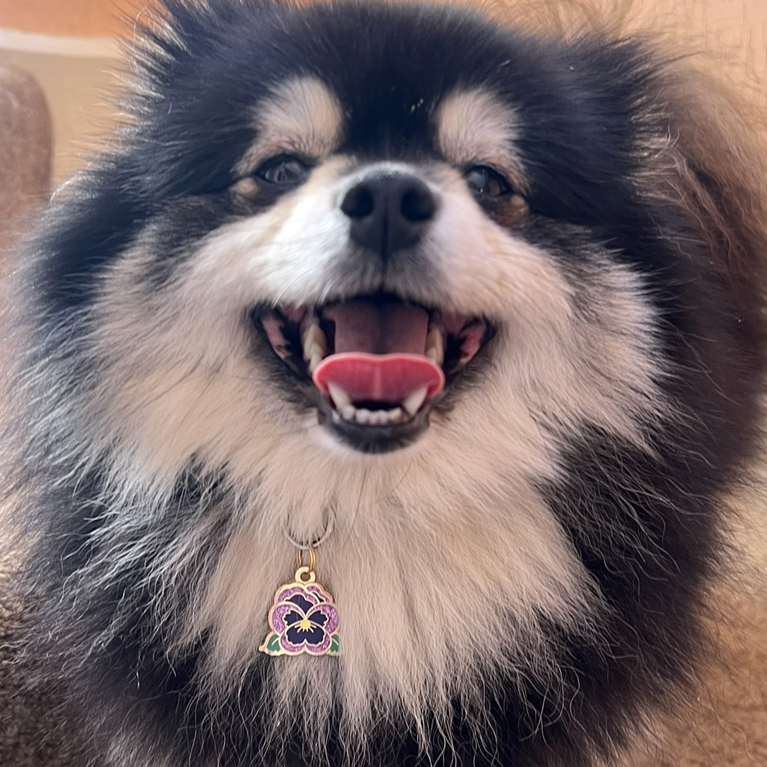 Pansy Engraveable ID Pet Tag Charm